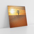 Obraz na płótnie 70x70 - Pustynia - Drzewo i słońce - pustynia, drzewo