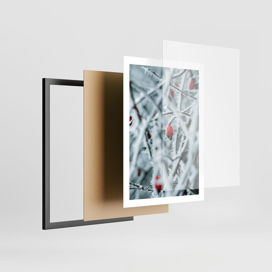Plakat w ramie 50x70 - Zima na Gałęziach - zima, oszronione gałęzie - rama czarna