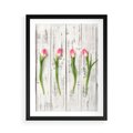 Plakat w ramie 50x70 - Kwintesencja Piękna - kwiaty, tulipany - rama czarna