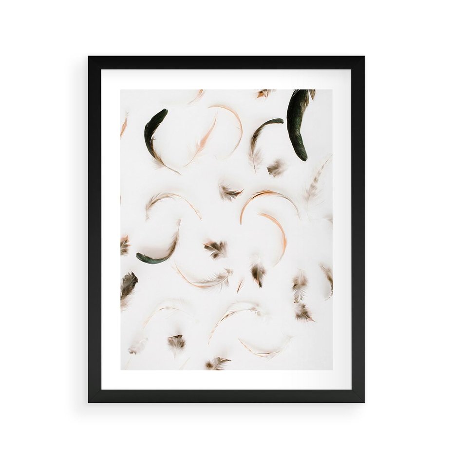 Plakat w ramie 40x50 - Kompozycja z Piór - pióra, kompozycja - rama czarna