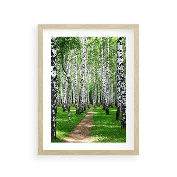 Plakat w ramie 40x50 - Bajkowy las pełen brzóz - las, brzozy - rama drewno