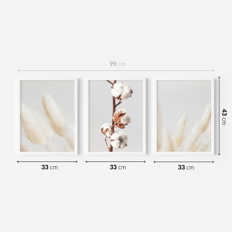 Zestaw obrazy w ramie 30x40 galeria - Suche, trawy, boho, pampas - rama biała