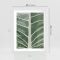 Plakat w ramie 40x50 - Zielone Wielkości: Zbliżenie Liścia - zbliżenie duz liść, jasna zieleń - rama biała