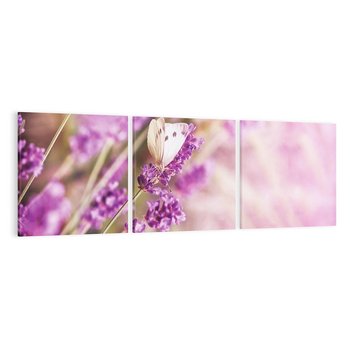 Obraz na płótnie 120x40 - Majestat lawendy: fioletowe pola - lawenda, fiolet