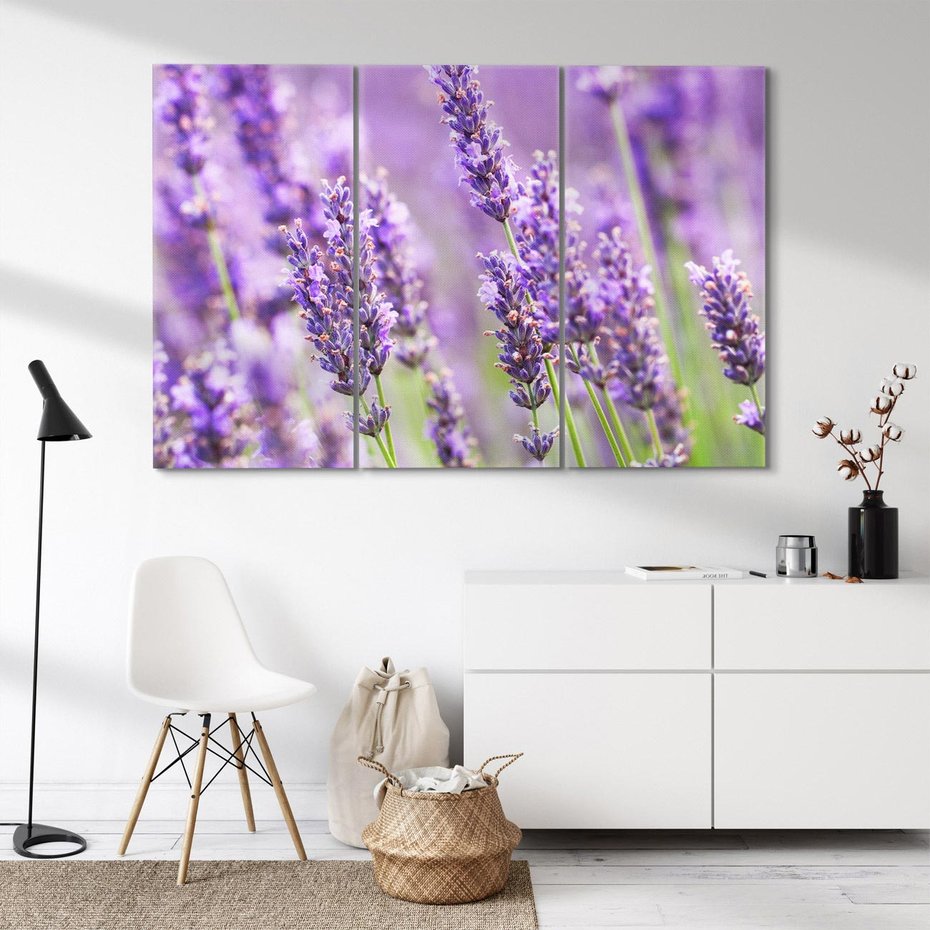 Obraz na płótnie 120x80 - Urok lawendy - lawenda, kwiaty