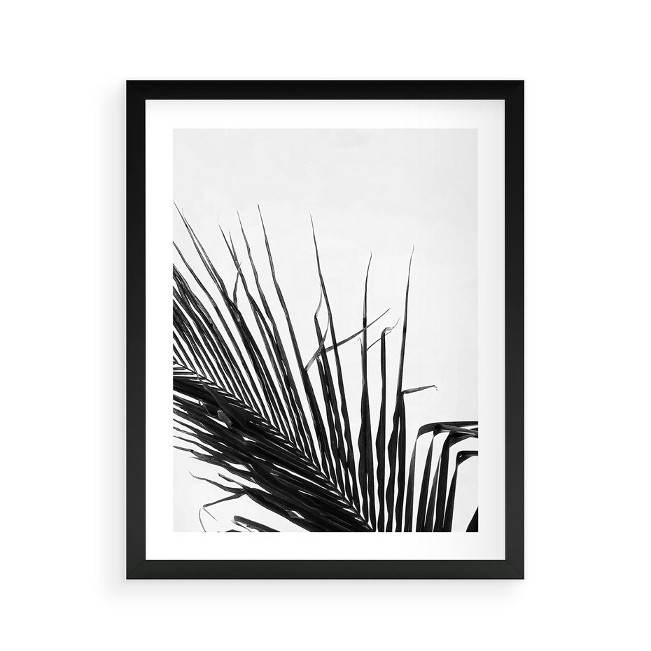 Plakat w ramie 40x50 - Sztuka Natury: Monochromatyczna Palma - palma, czarno białe zdjęcie - rama czarna