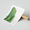 Plakat bez ramy 21x30 - Minimalistyczne Kaktusy na Białym Tle - kaktusy, minimalistyczna fotografia