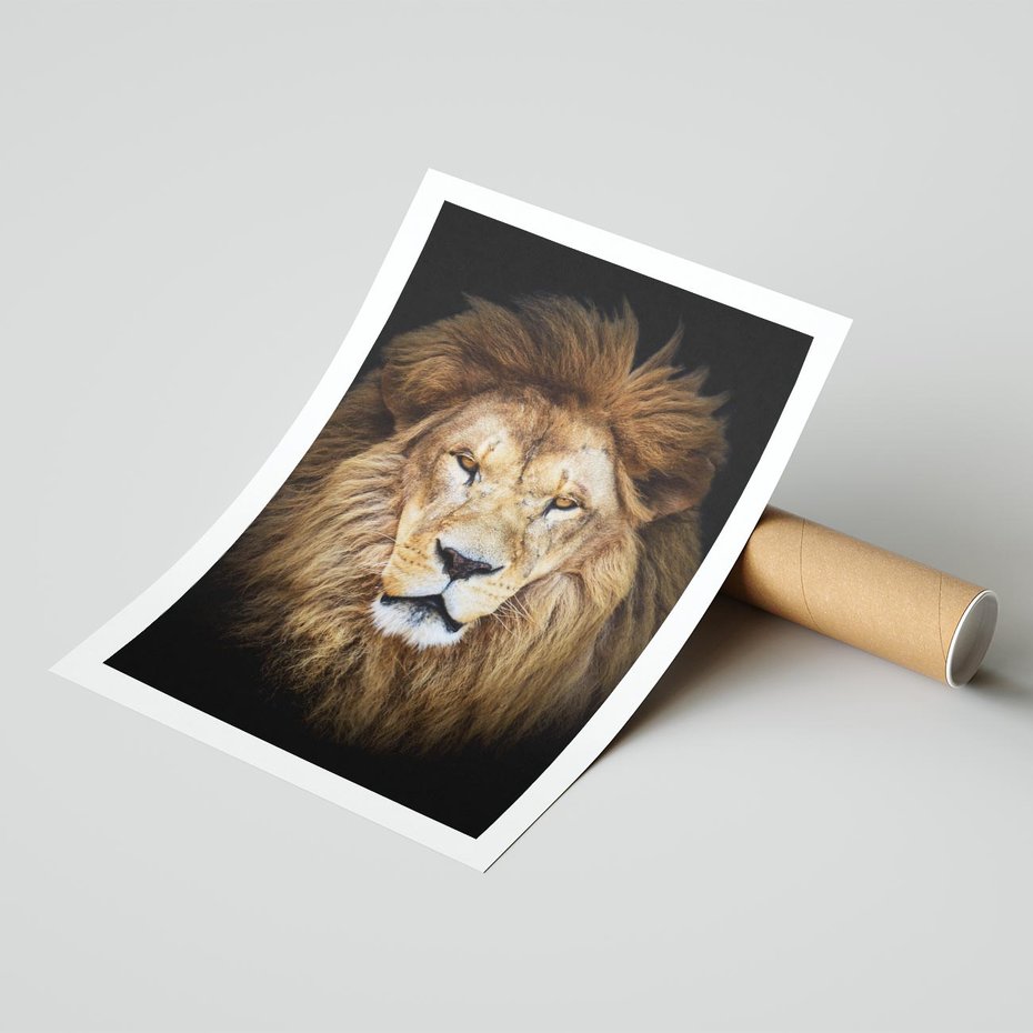 Plakat bez ramy 21x30 - Król zwierząt w majestatycznym stylu - lew, król