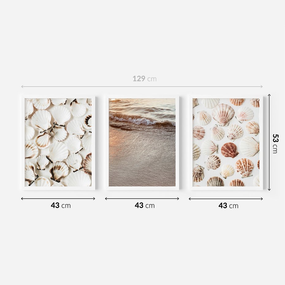 Zestaw obrazy w ramie 40x50 galeria - Morze, muszla, zachód, słońca - rama biała