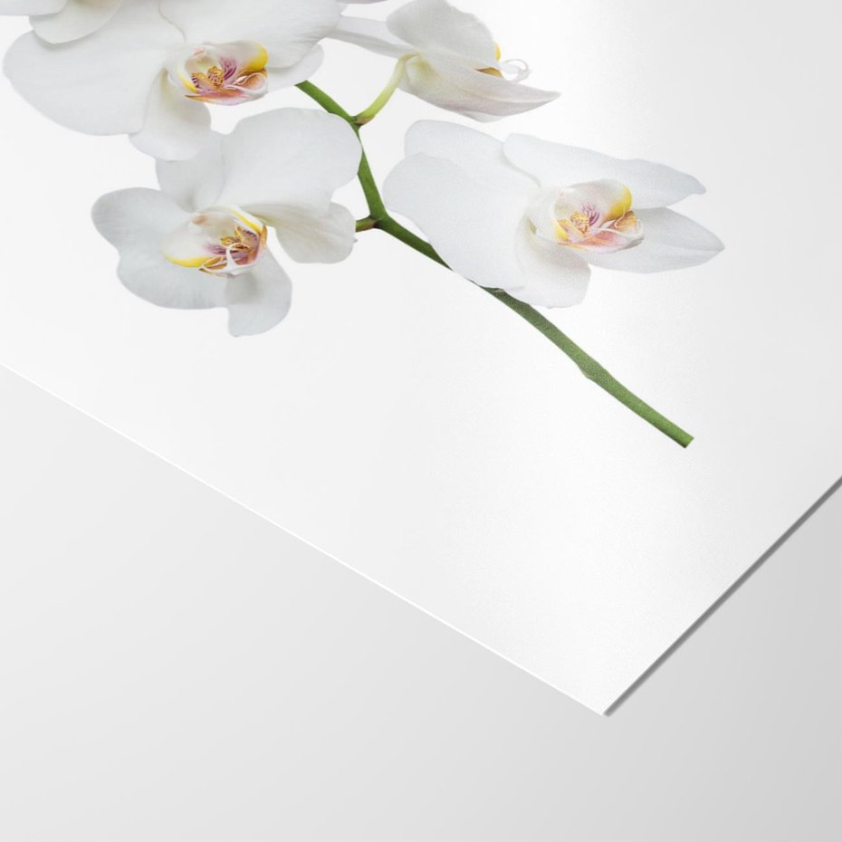 Plakat bez ramy 30x40 - Ekskluzywny Relaks - storczyk, spa