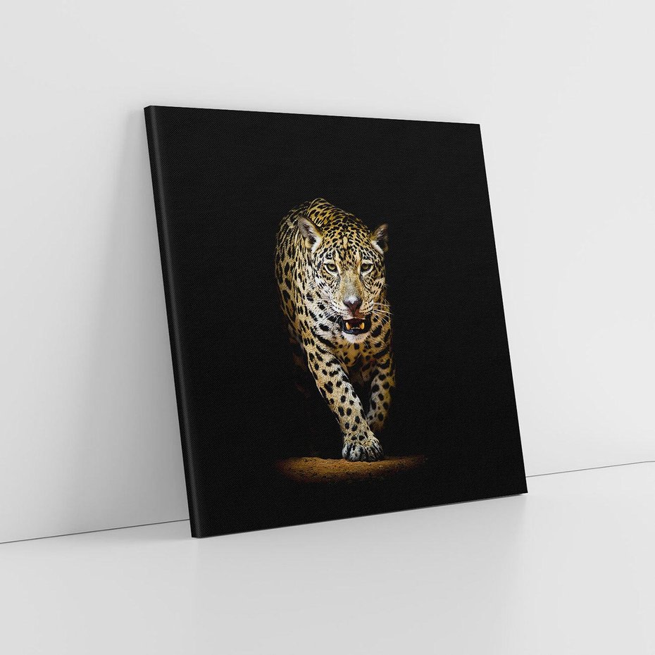 Obraz na płótnie 50x50 - Elegancja lamparta - lampart, pantera