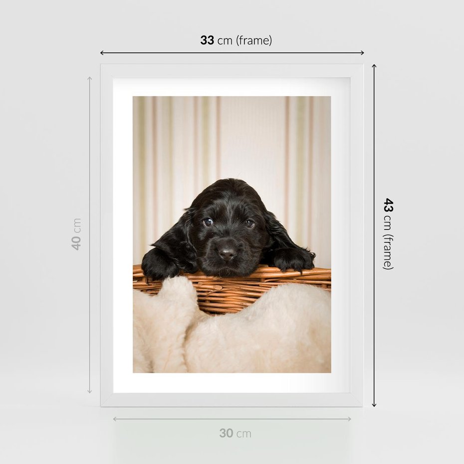 Plakat w ramie 30x40 - Uroczy szczeniak w akcji - piesek, szczeniak - rama biała