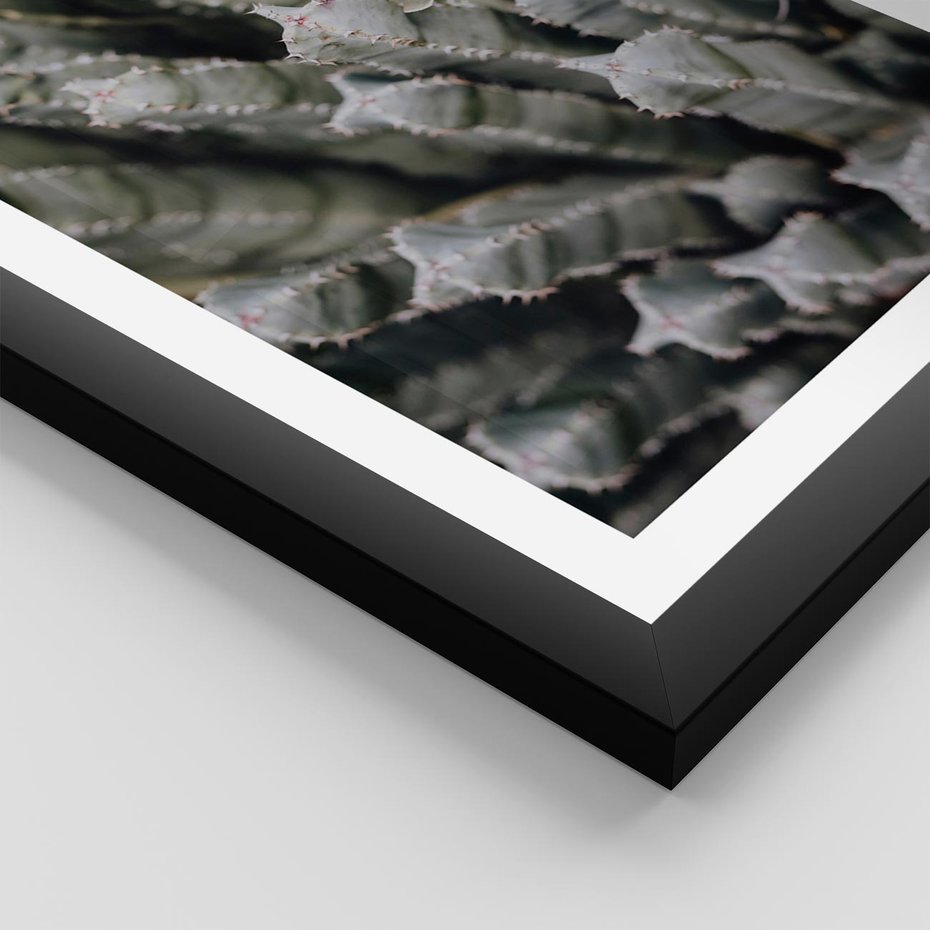 Plakat w ramie 40x50 - Boho kaktusy na pustyni - kaktusy, pustynia - rama czarna