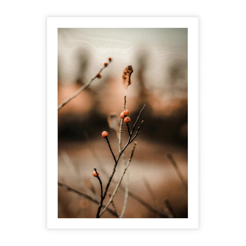 Plakat bez ramy 21x30 - Jarzębina w Pejzażu - jesień, gałązka