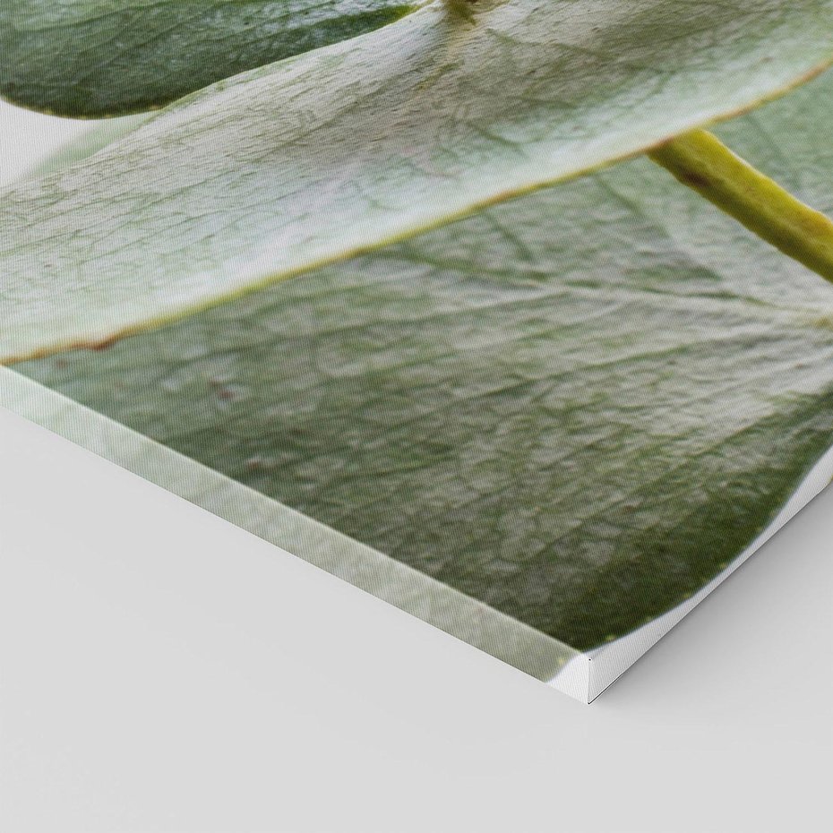 Obraz na płótnie 80x120 - Eukaliptusowa zieleń - eukaliptus, zielone