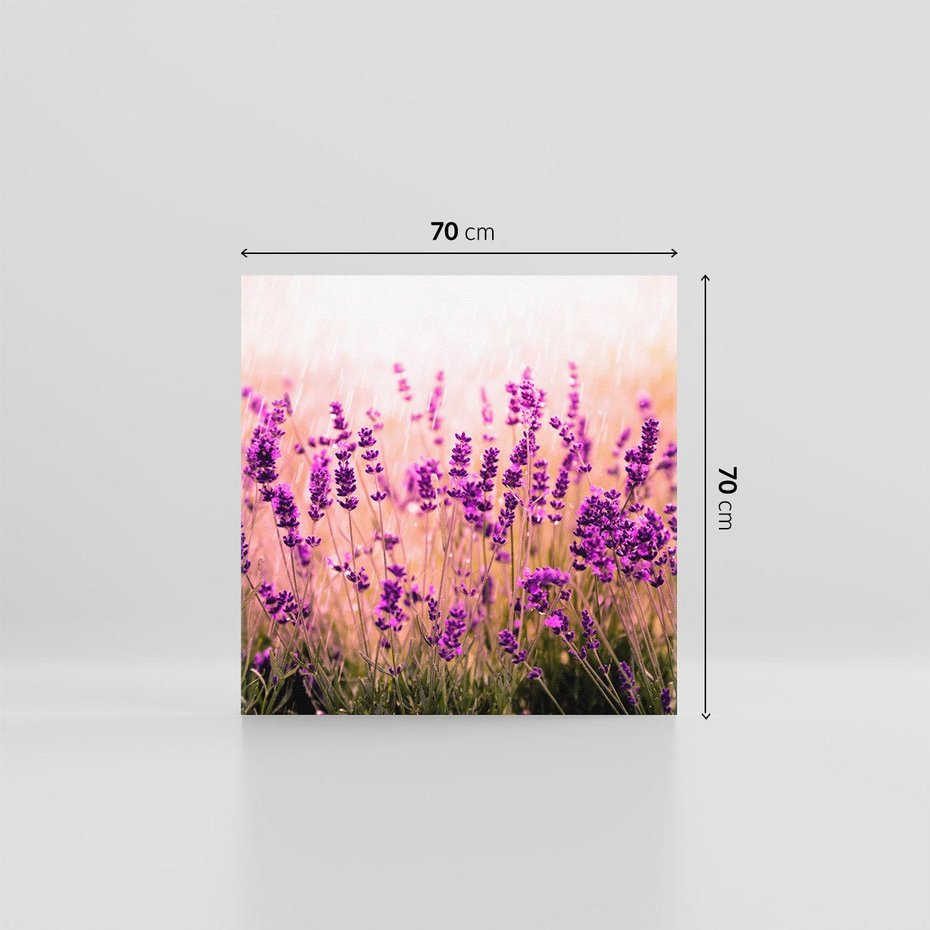 Obraz na płótnie 70x70 - Lawenda: Pachnące pole kwiatów - kwiaty, lawenda