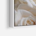 Obraz w ramie 70x100 - Białe róże piękności - białe, róże - rama biała