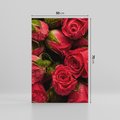 Obraz na płótnie 50x70 - Piękno róż: delikatność natury - róże, kwiaty