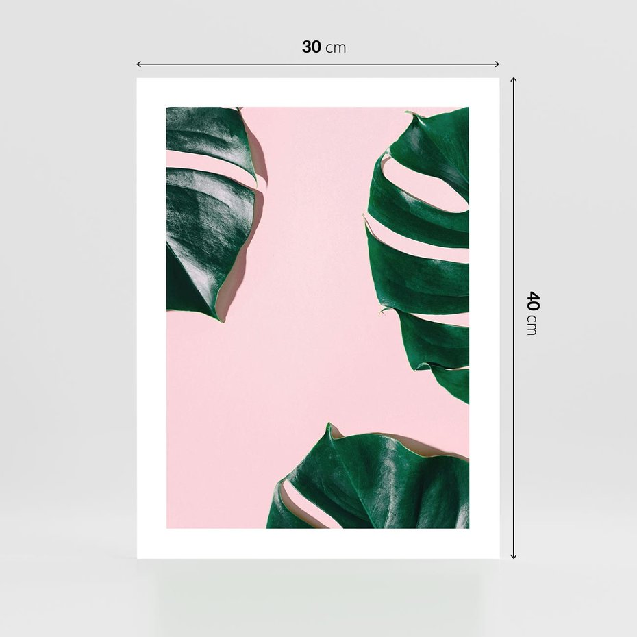 Plakat bez ramy 30x40 - Minimalizm Natury - minimalizm, liście monstery