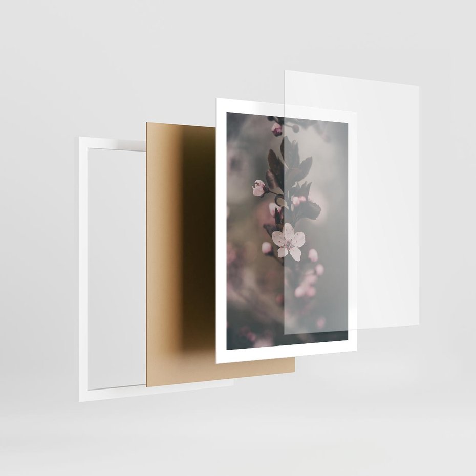 Plakat w ramie 50x70 - Przemijający Urok - kwitnąca, wiśnia - rama biała