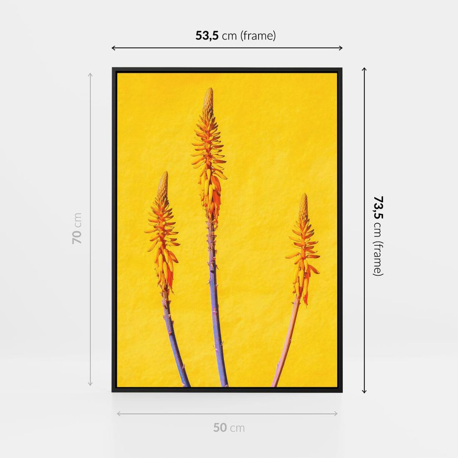 Obraz w ramie 50x70 - Radość Natury - kolor, kwiaty - rama czarna