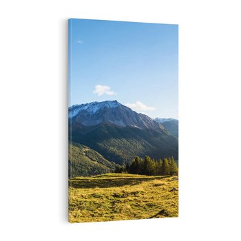 Obraz na płótnie 80x120 - Górski pejzaż: łąka i szczyty - góry, łąka