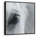 Obraz w ramie 50x50 - Oko Mocy - czarno białe zdjęcie, zbliżenie makro na oko konia - rama czarna