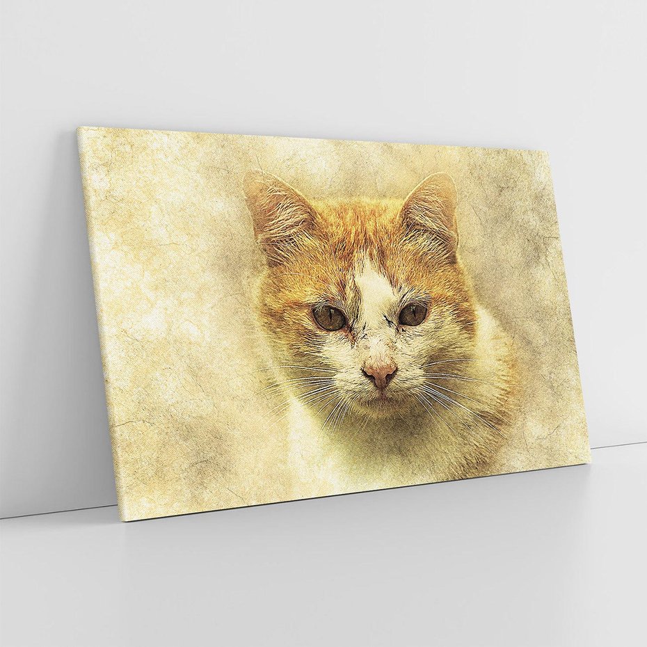 Obraz na płótnie 120x80 - Kot w abstrakcyjnym świecie - kot, sztuka