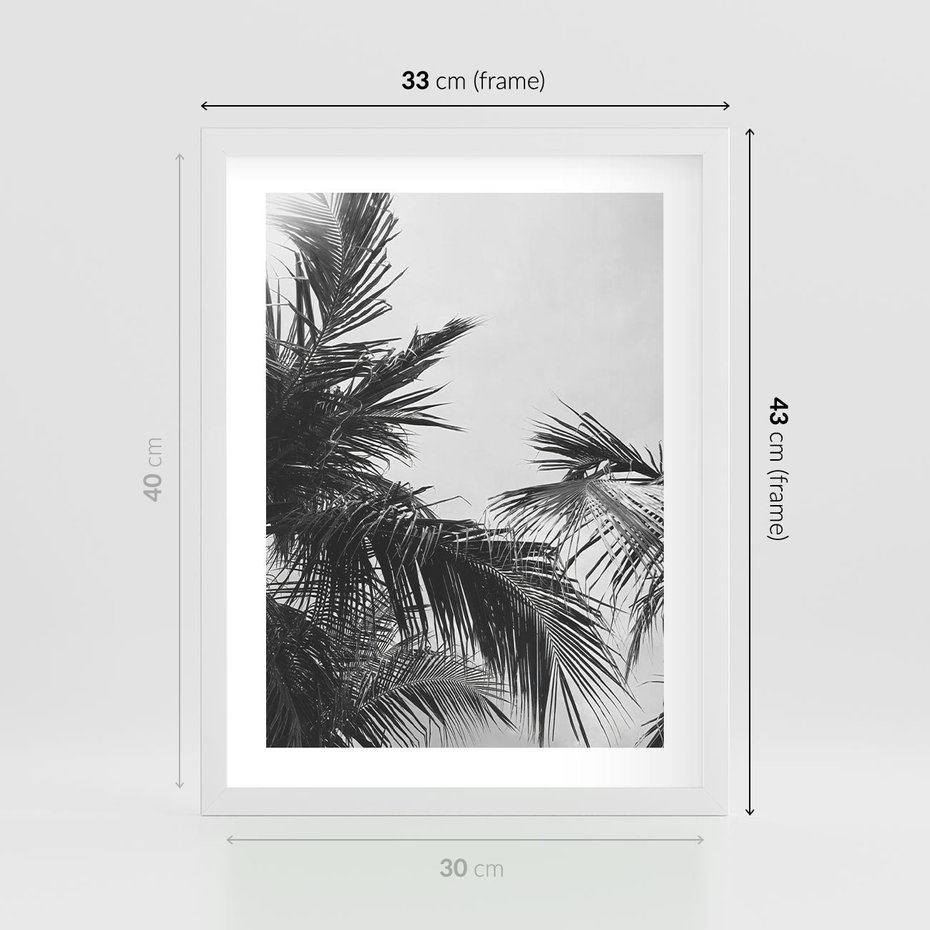 Plakat w ramie 30x40 - Palmy w Monochromii - palmy, tropikalne palmy - rama biała