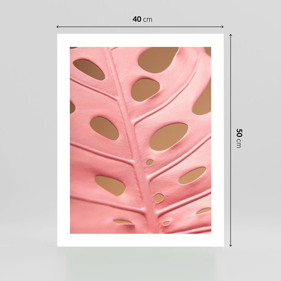 Plakat bez ramy 40x50 - Różowy Liść Monstery - różowy liść monstery, nowoczesna fotografia