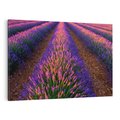 Obraz na płótnie 120x80 - Fioletowa Magia - pole, lawendy