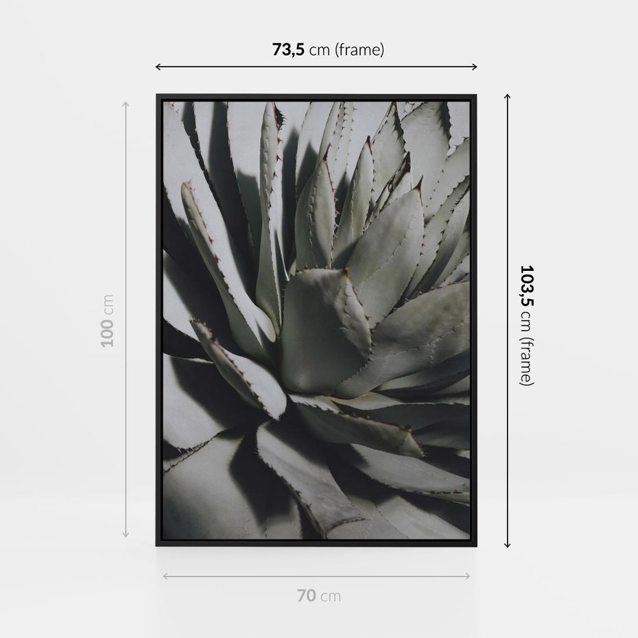 Obraz w ramie 70x100 - Sukulenty wśród kaktusów - sukulenty, kaktusy - rama czarna