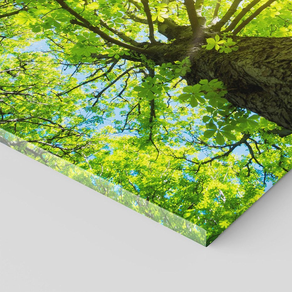 Obraz na płótnie 120x80 - Drzewo pod Słońcem: Łączność z Naturą - drzewo, słońce