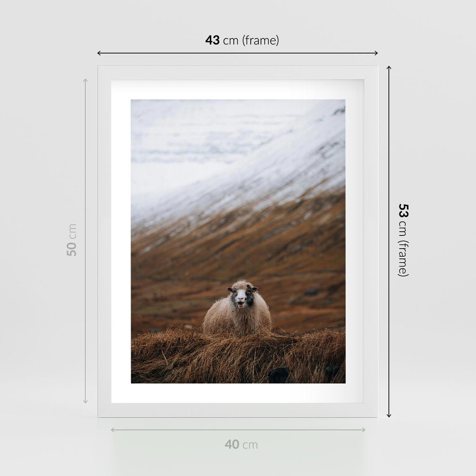 Plakat w ramie 40x50 - Owiecka panorama - góry, owca - rama biała