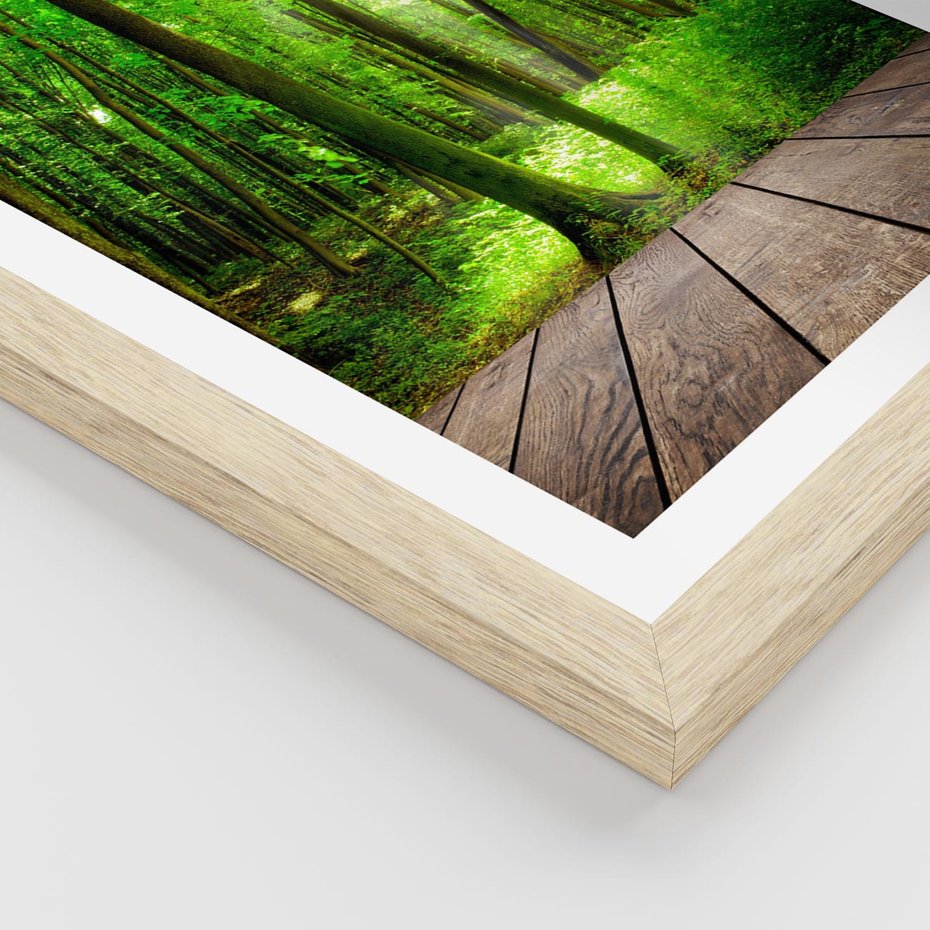 Plakat w ramie 50x70 - Spacer po urokliwej dróżce w lesie - las, dróżka - rama drewno