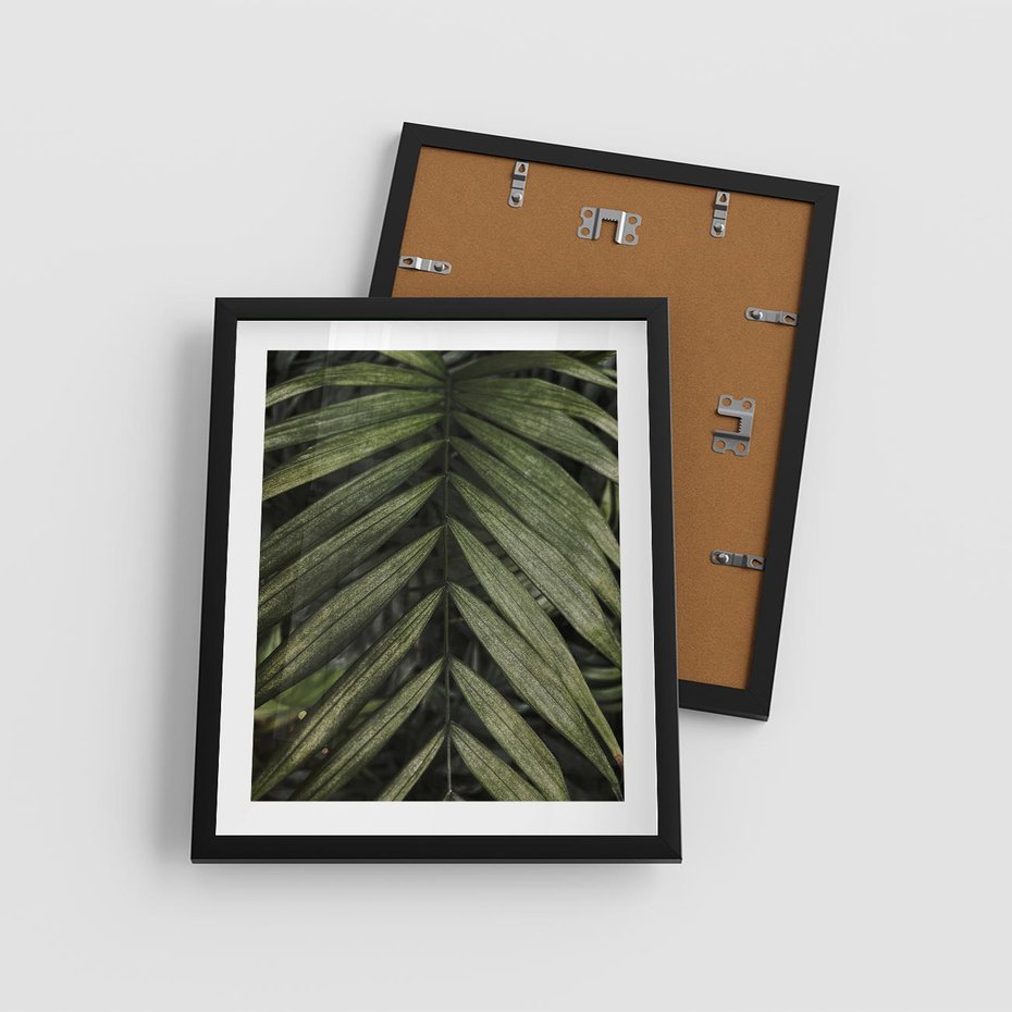 Plakat w ramie 40x50 - W Liściach Ukryte - zdjęcie, fotografia - rama czarna