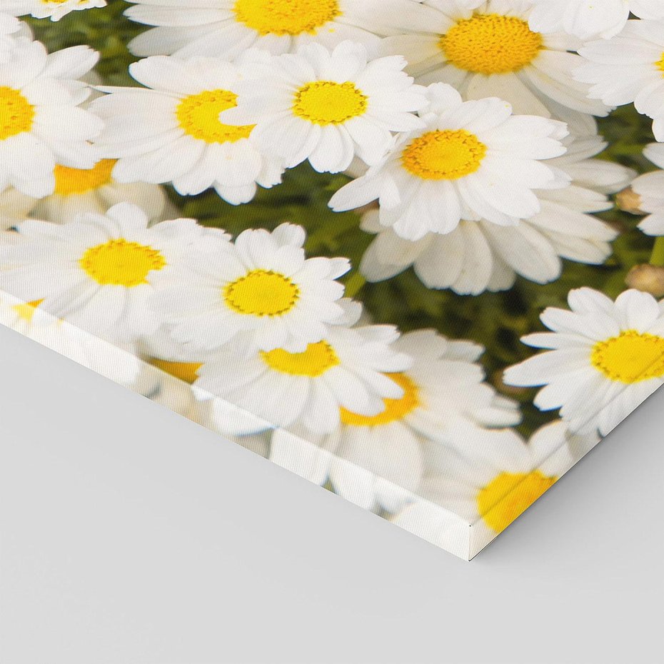 Obraz na płótnie 90x30 - Delikatność Kwiatowej Przyrody - stokrotki, kwiaty