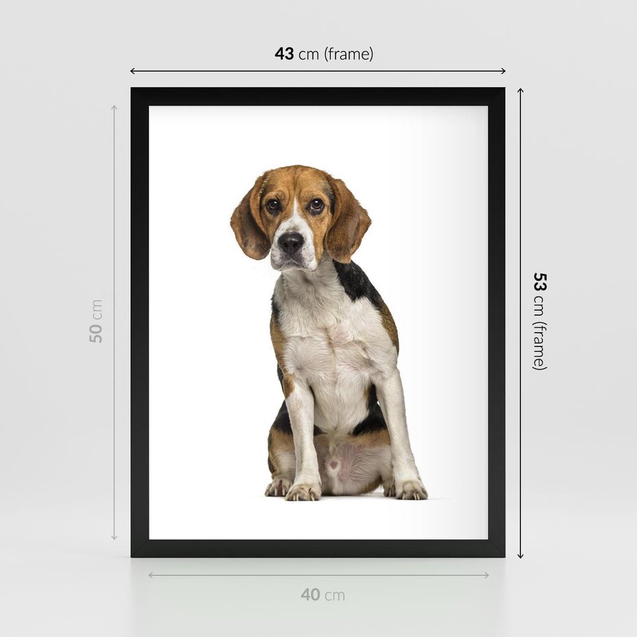 Plakat w ramie 40x50 - Wierność i radość - pies, piesek - rama czarna