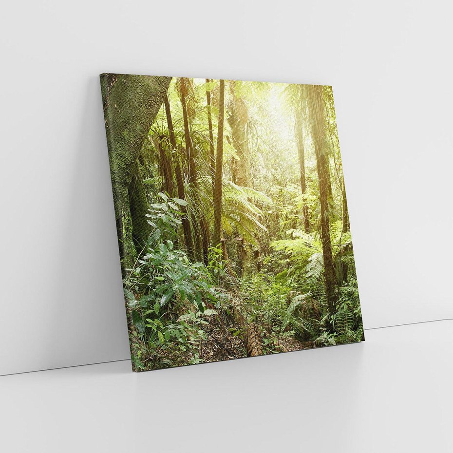 Obraz na płótnie 80x80 - Uroczysty Las Drzew - las, drzewa