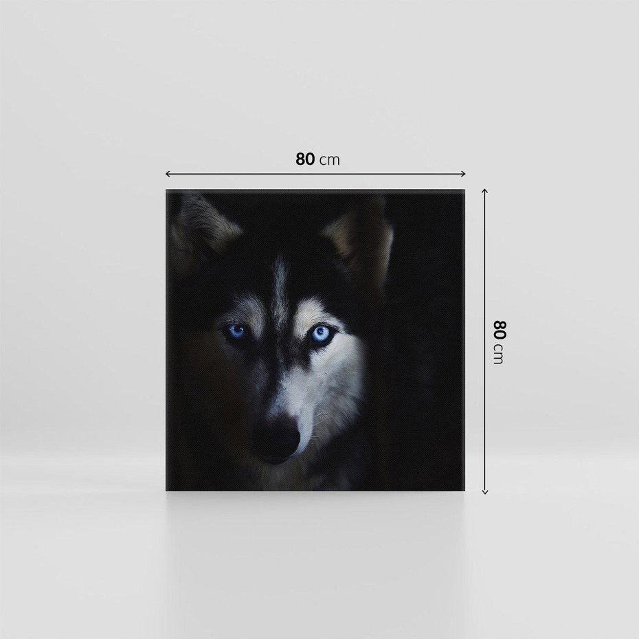 Obraz na płótnie 80x80 - Wilk i husky: siła przyjaźni - wilk, husky