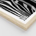 Plakat w ramie 30x40 - Pasy Zebr - zebra, paski - rama drewno