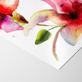 Plakat bez ramy 21x30 - Kwiaty w akwareli - delikatne piękno - kwiaty, akwarela