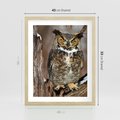 Plakat w ramie 40x50 - Tajemniczy Stróż - sowa, las - rama drewno