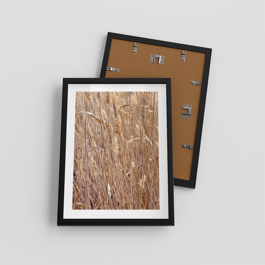 Plakat w ramie 30x40 - Mistrzowskie suche trawy - suche, trawy - rama czarna