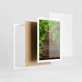 Plakat w ramie 50x70 - Magia Leśnej Ścieżki - ścieżka, w lesie - rama biała
