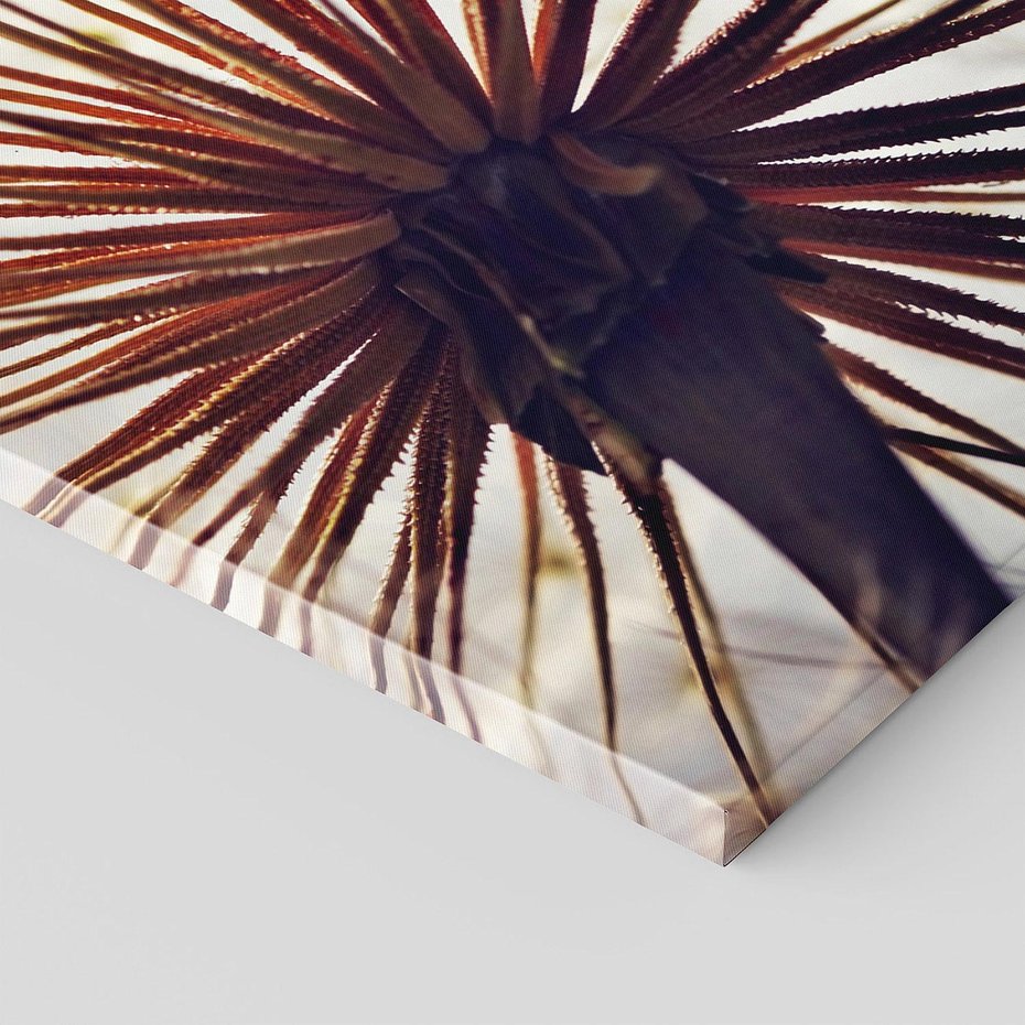 Obraz na płótnie 140x70 - Makro piękno dmuchawca - makro, dmuchawiec