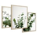 Zestaw obrazy w ramie 30x40 galeria - Eukaliptus, zielone, liście, minimalizm - rama drewno