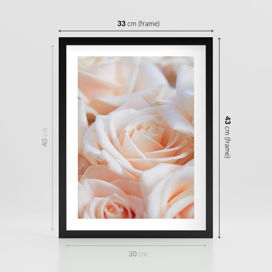 Plakat w ramie 30x40 - Aromatyczna Piękność - płatki herbacianej róży, kwiaty - rama czarna