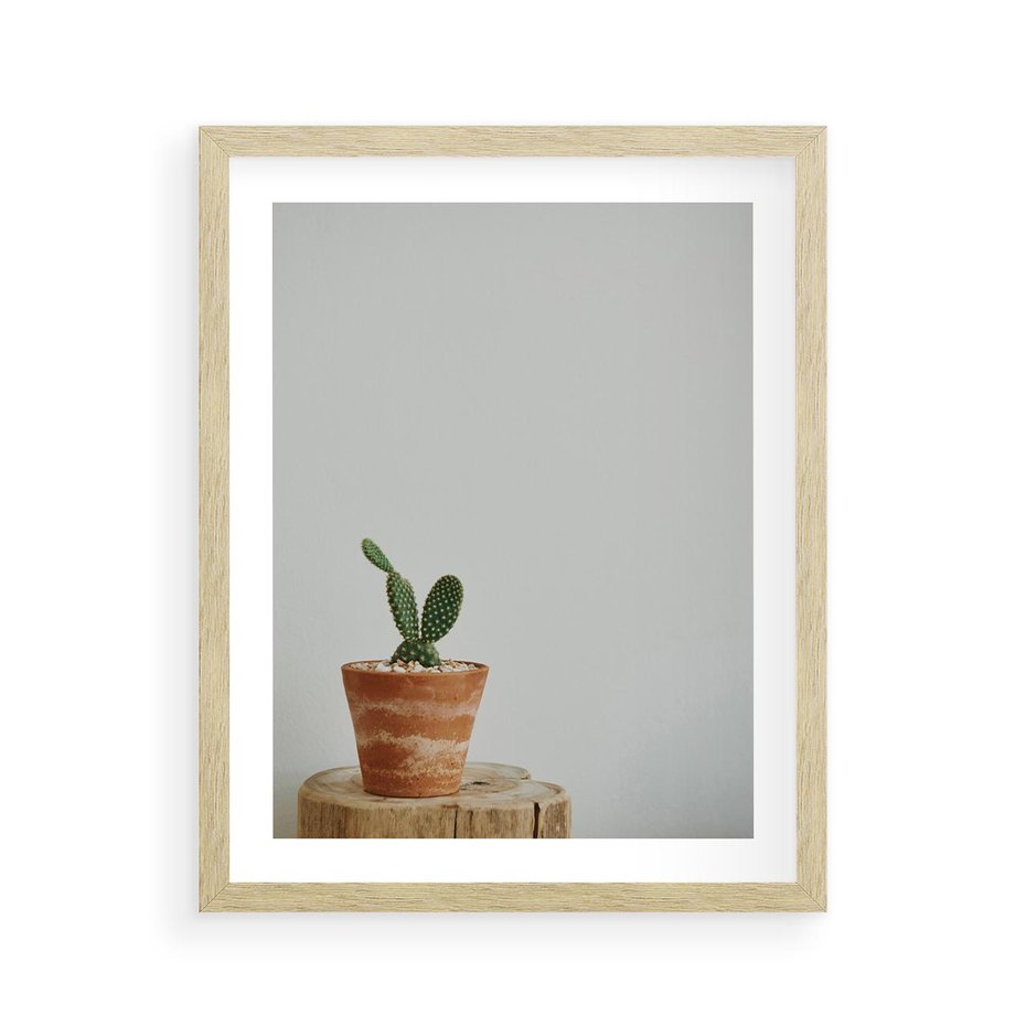 Plakat w ramie 40x50 - Kaktus w Doniczce - minimalizm, kaktur w doniczce - rama drewno