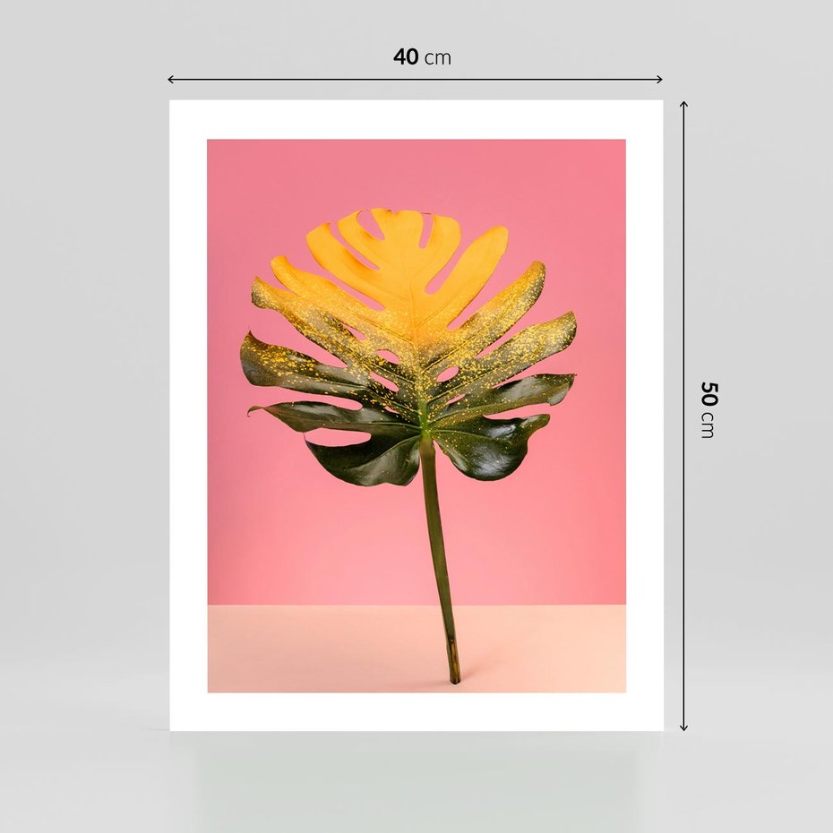 Plakat bez ramy 40x50 - Majestatyczna monstera - monstera, liść